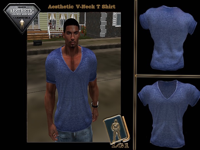 Blue V-Neck T-Shirt