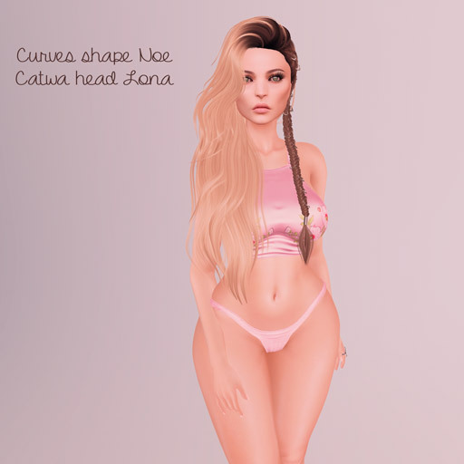 Curves - Noe - Catwa Bento shape