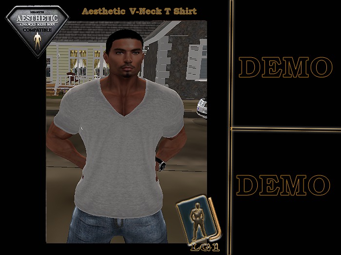 Demo V-Neck T Shirt