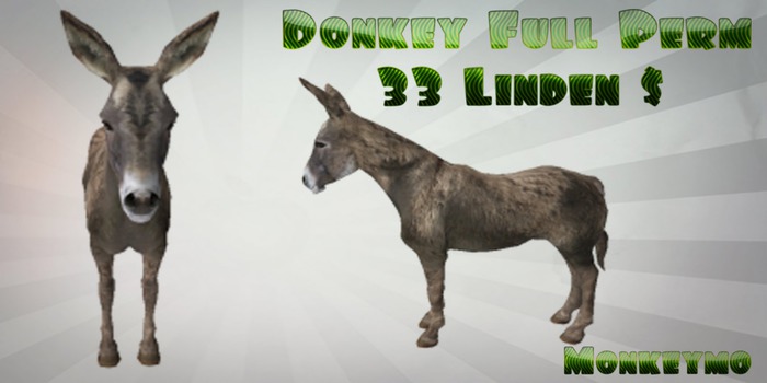 Donkey Full Perm ( Monkeymo )
