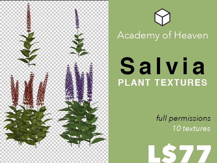 Full Permission Salvia Textures