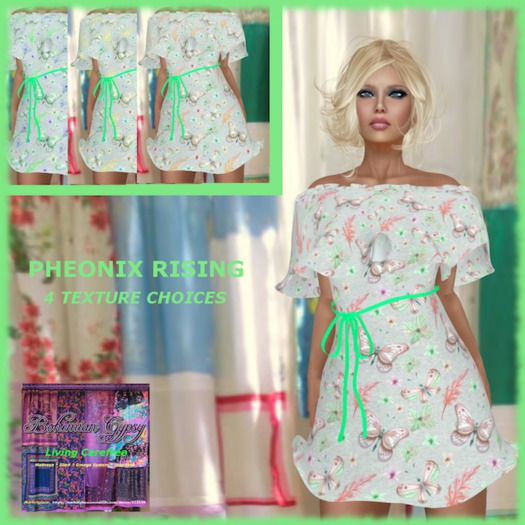 BOHEMIAN GYPSY: Pheonix Rising butterflies  (box)