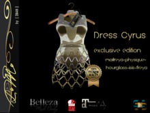 [ IBAN ] //022 MESH DRESS EXCLUSIVE  CYRUS