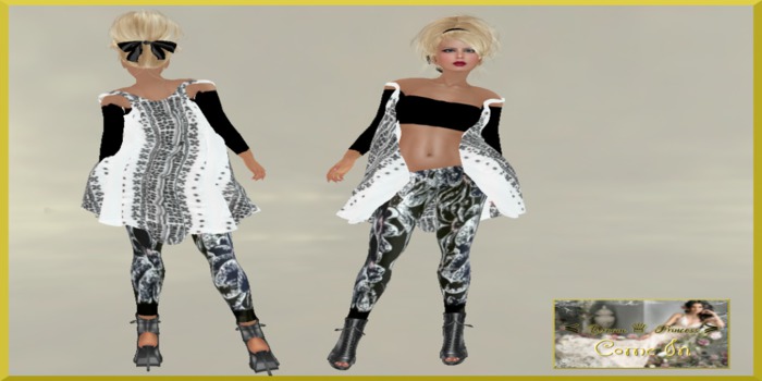 !*Dream Princess*!  Come In  (box)