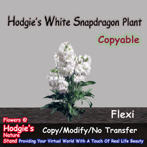 Hodgie's Flowers and Plants  --  Snapdragon (White) Flexi Plant (Copyable)