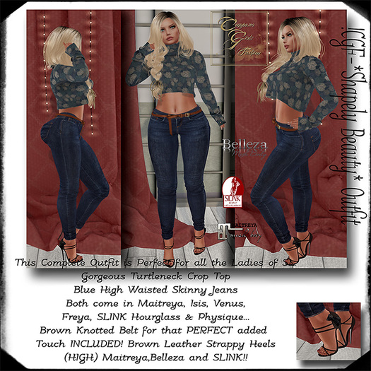 !CGF-*Shapely Beauty* Outfit