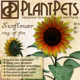 PlantPet Seed [Sunflower *Ring of Fire*] Rare Elite