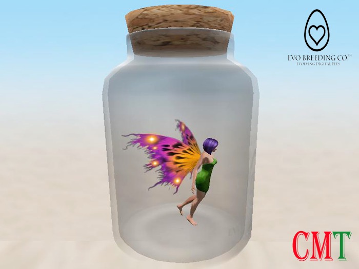 Fairy EVO - #0059 Cameorth (Rare Meadow)
