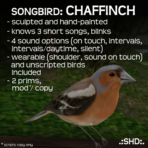 Songbirds: Chaffinch .:SHD:.