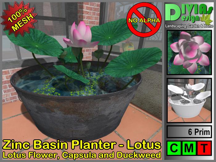 Zinc Basin Pond - Lotus, Capsula and Duckweed