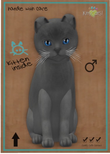 KittyCatS Box - Russian - Blue