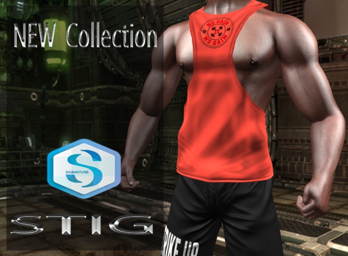 Male Tank Top Fitted Mesh for Signature Body red