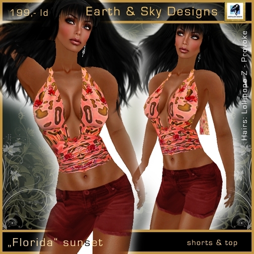 "Florida" sunset - Earth & Sky Design