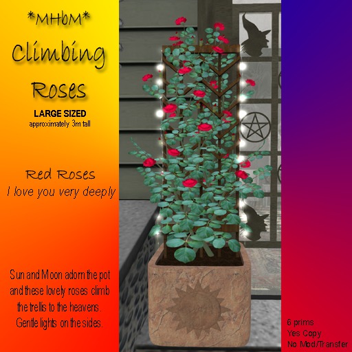 *MHbM* Sun/Moon Climbing Roses LGE - RED/BOX