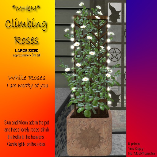 *MHbM* Sun/Moon Climbing Roses LGE - WHITE