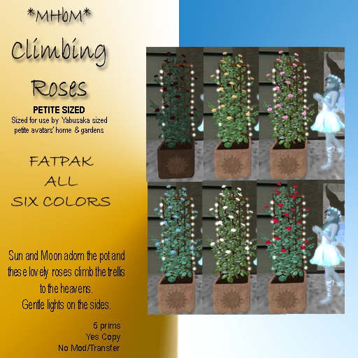 *MHbM* Sun/Moon Climbing Roses PETITE -FATPAK