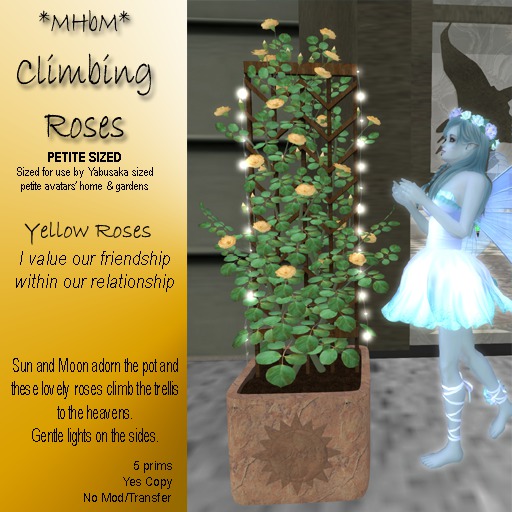 *MHbM* Sun/Moon Climbing Roses PETITE - YELLOW/BOX