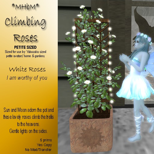 *MHbM* Sun/Moon Climbing Roses PETITE - WHITE/BOX