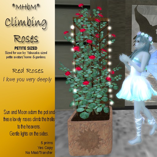 *MHbM* Sun/Moon Climbing Roses PETITE - RED/BOX