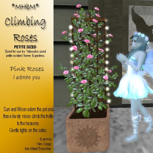 *MHbM* Sun/Moon Climbing Roses PETITE - PINK/BOX