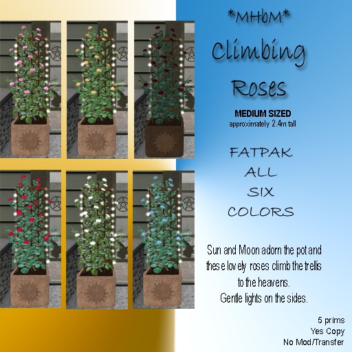 *MHbM* Sun/Moon Climbing Roses MED - FATPAK