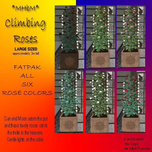 *MHbM* Sun/Moon Climbing Roses LGE - FATPAK