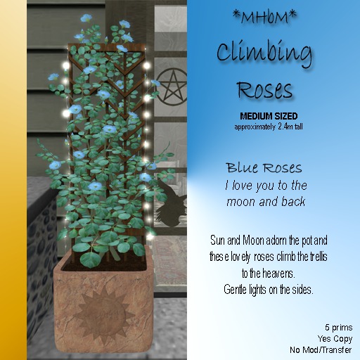 *MHbM* Sun/Moon Climbing Roses MED - BLUE/BOX