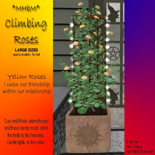 *MHbM* Sun/Moon Climbing Roses LGE - YELLOW/BOX