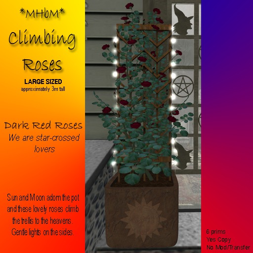 *MHbM* Sun/Moon Climbing Roses LGE - RED,DK/BOX