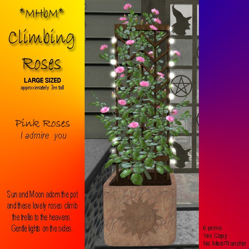 *MHbM* Sun/Moon Climbing Roses LGE - PINK/BOX