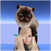 JIAN Pudgy Persians BOX 3. Adult Head Clinger RARE