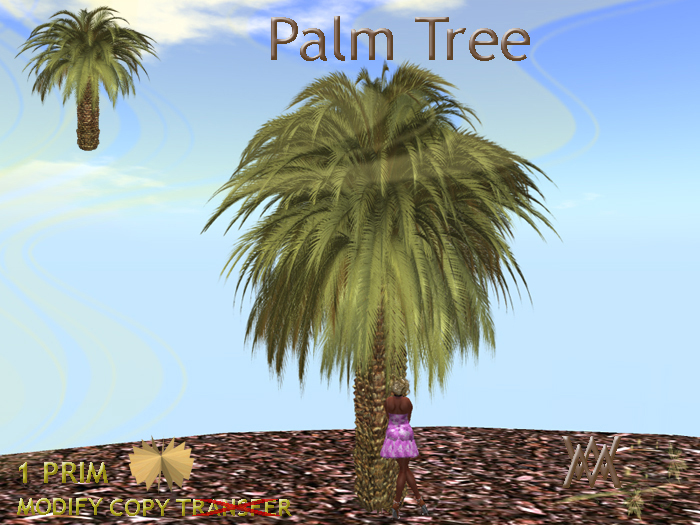 Tree. Palm by Wild Motley