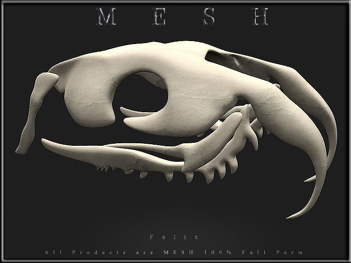 Snake Skeleton - Upper jaw - Micro and Regular Mesh - Full Perm -