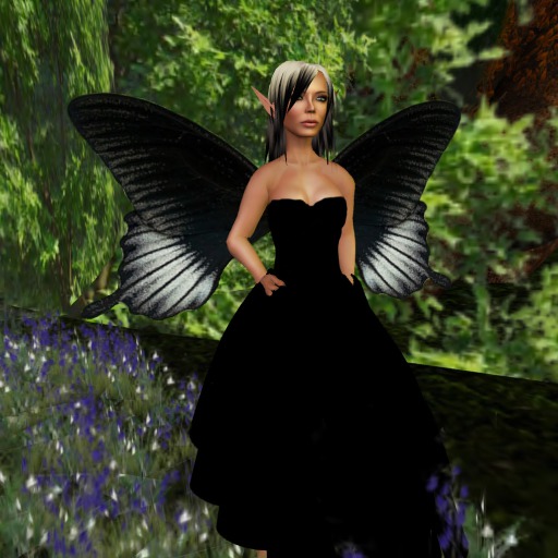 Battus Philenor Butterfly Wings V2.0