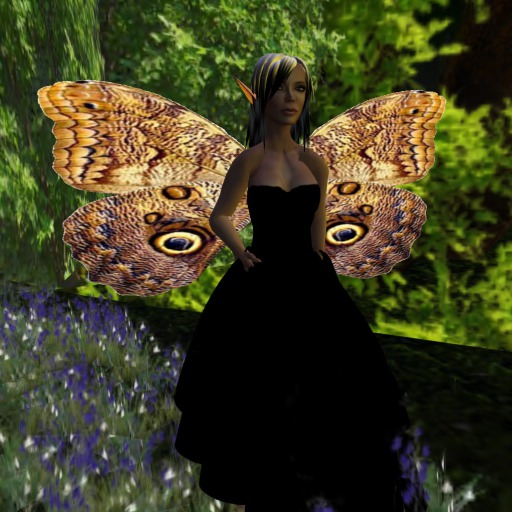 Owl Butterfly Wings V2.0