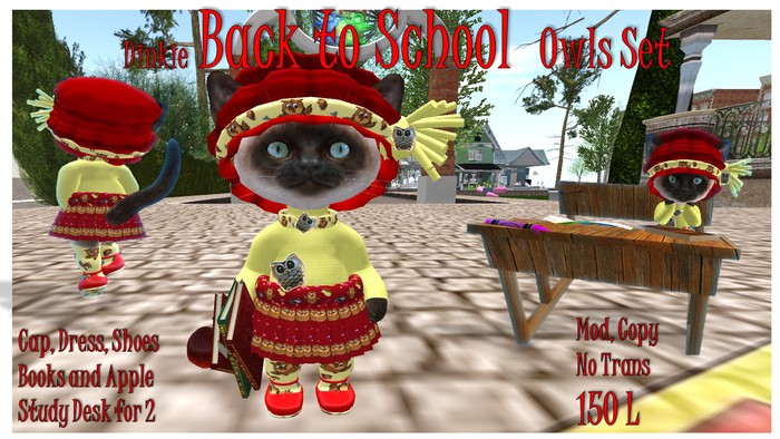 Dinkie Back to School Owl Set Box