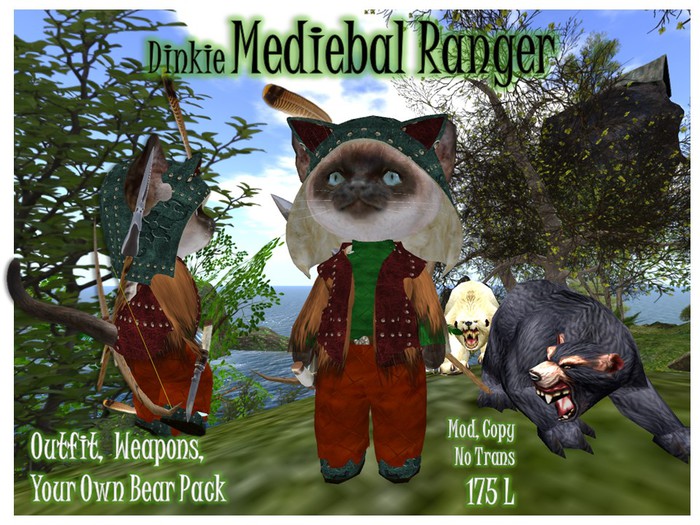 Dinkie Mediebal Ranger Boy Box