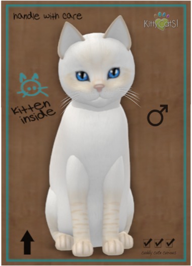 KittyCatS Box - Balinese - Cream Lynx