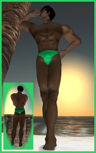 Kohnke Bald-Eagle Briefs - SpringGreen