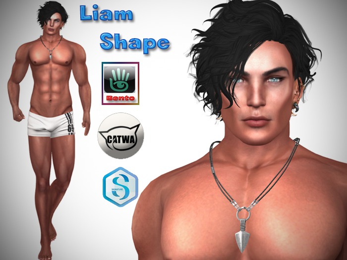 [TBS]Liam shape for Daniel Bento