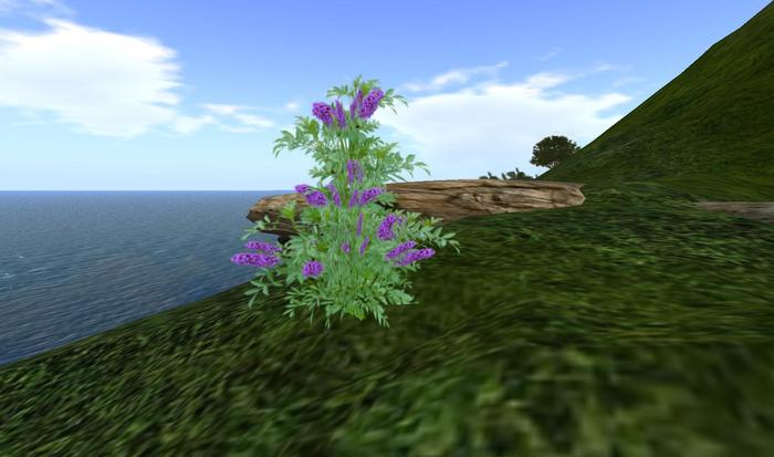 One Prim Purple Butterfly Bush