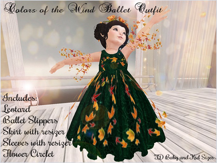 Colors of the Wind Ballet Outfit