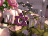 Cj happy mother's day iron planter 06
