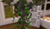 Cj happy mother's day iron planter 05