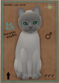 KittyCatS Box - Tonkinese - Blue Point