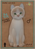 KittyCatS Box - Abyssinian - Lilac
