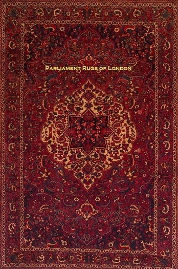Bakhtiari 6 Persian Rug