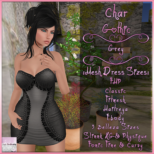 Char Dress Gothic Grey