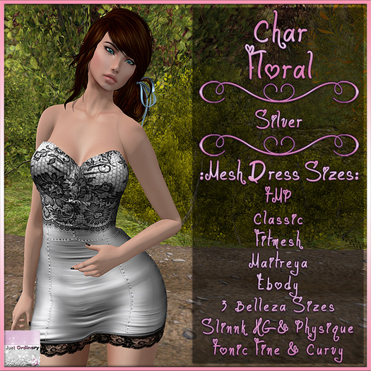 Char Dress Floral Silver