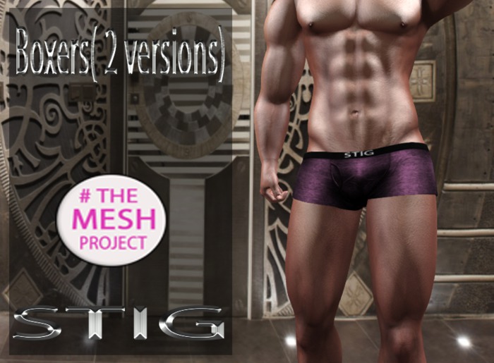 Boxers TMP( 2 versions) purple